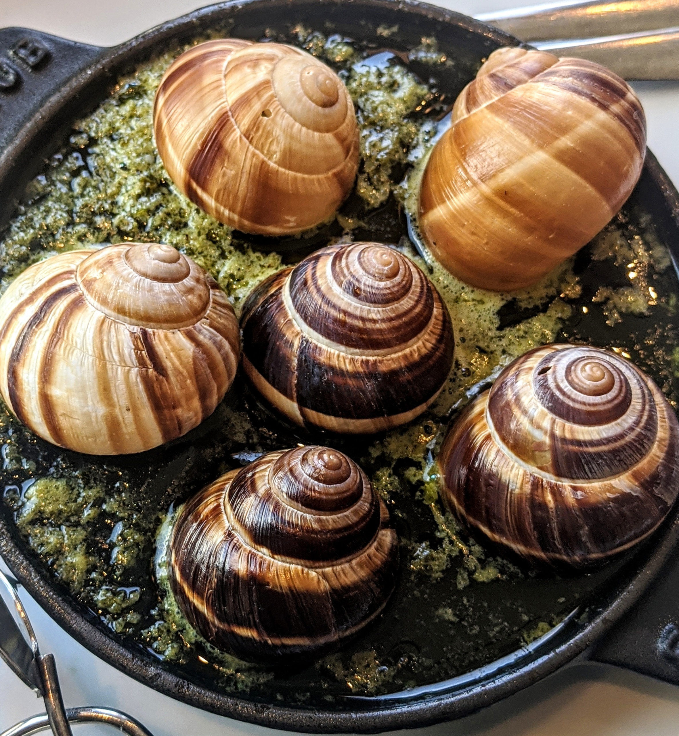 ali-robins-upxdFPFXFXY-unsplash ali-robins-upxdFPFXFXY-unsplash
