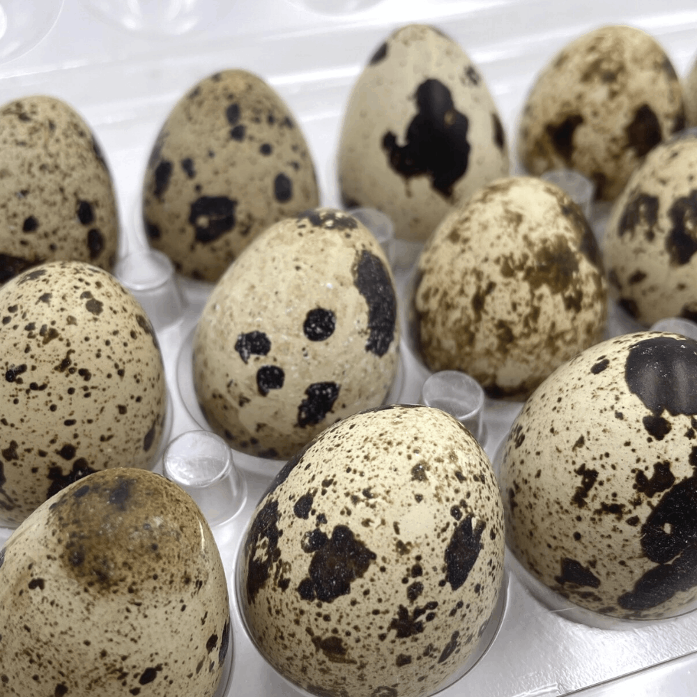 Quail Eggs New Packaging Close Up