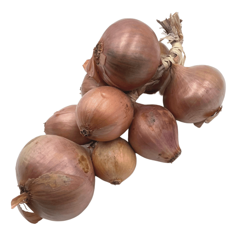 Roscoff Onions 1kg No Packaging