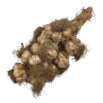 Smoked Garlic Without Net 1