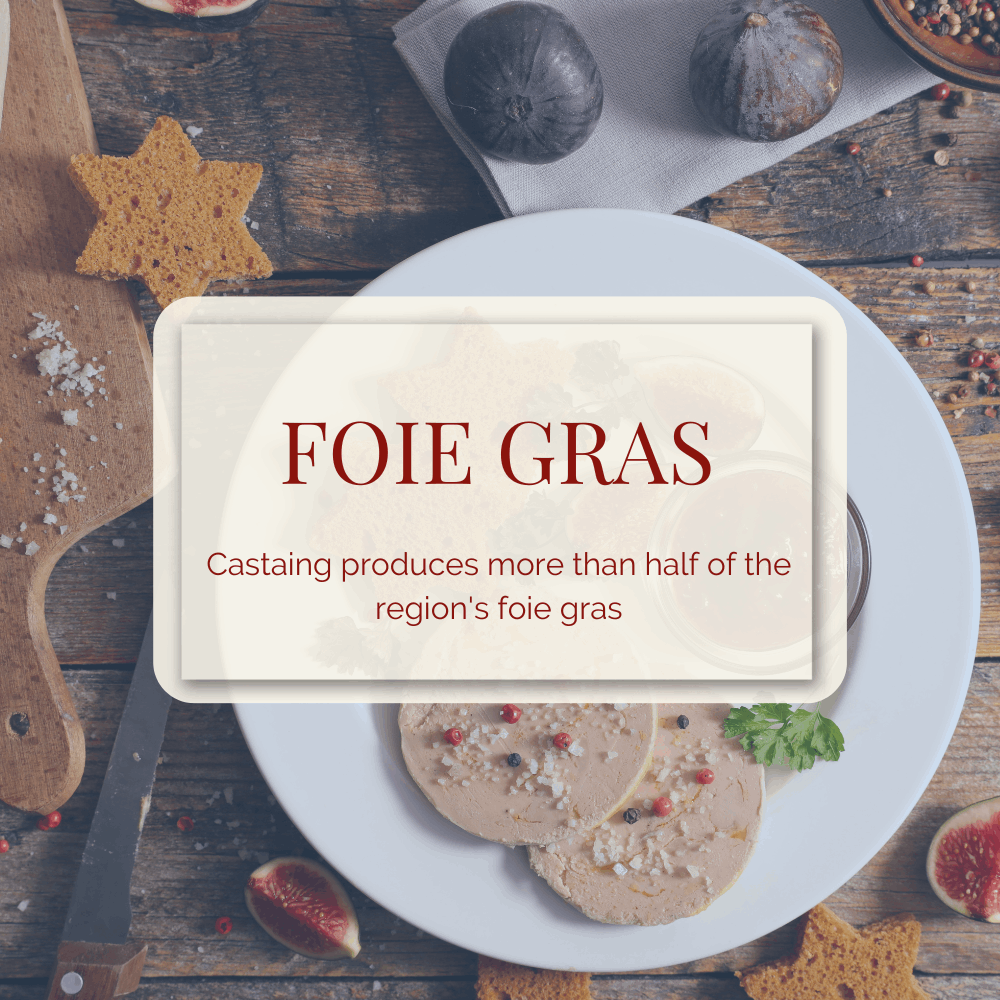 Castaing BonneBouffe Blog Post