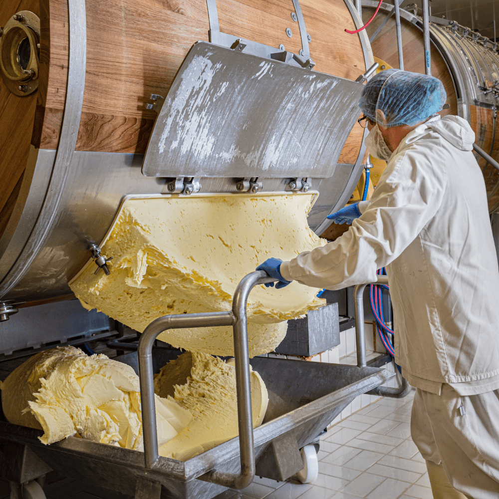 Artisanal butter being churned in a traditional wooden barrel at a French dairy Echire