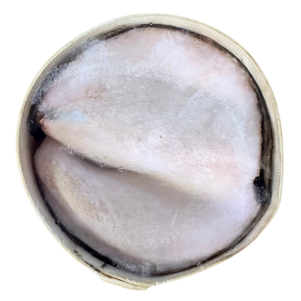 Vacherin Mont d’Or +/- 500g BEST BEFORE 12/03/26 - Image 3