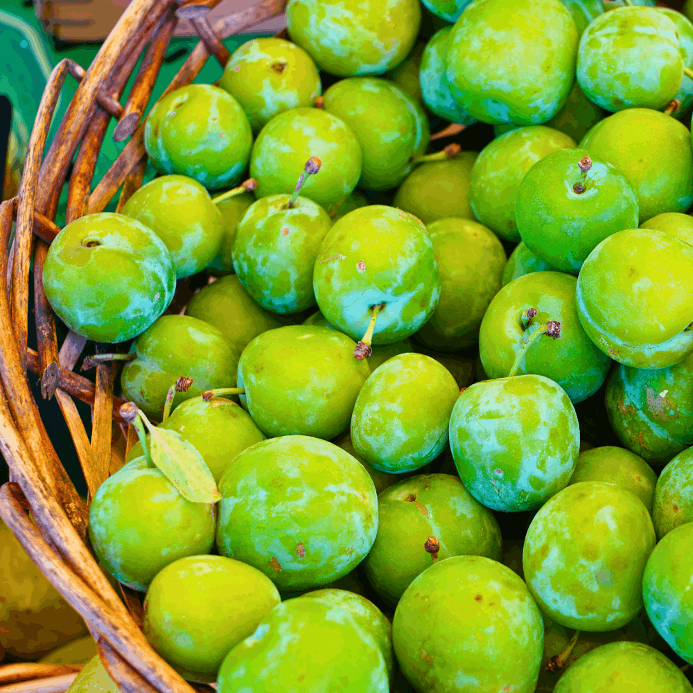 Favols French Greengage Jam 375g - Image 2