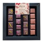 Box of Maison Pécou Tentation Agrumes Dark Chocolate Citrus Assortment (130 g) with dark chocolates and chocolate-coated candied orange slices.