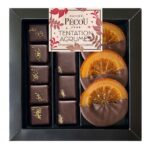 Box of Maison Pécou Tentation Agrumes Dark Chocolate Citrus Assortment (130 g) with dark chocolates and chocolate-coated candied orange slices.